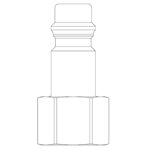 Female Thread BSPP Plug